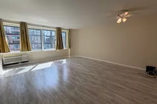 211 E Ohio St, Chicago, IL 60611 - Photo 10