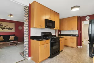 1032 W Park Pl Dr, Bartlett, IL 60103 - Photo 10