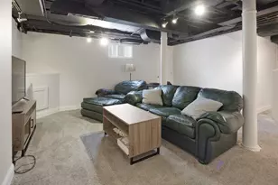 313 S 1st St, West Dundee, IL 60118 - Photo 44