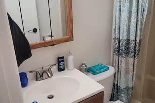 18237 Oakwood Ave, Lansing, IL 60438 - Photo 16