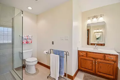 12410 Country View Lane, Homer Glen, IL 60491 - Photo 42