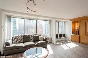 211 E Ohio St, Chicago, IL 60611 - Photo 4