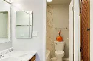 455 Verde Dr, Schaumburg, IL 60173 - Photo 22