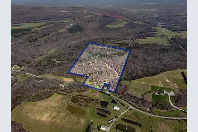 526 Shiloh Road, Cobden, IL 62920 - Photo 58