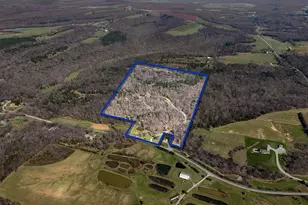 526 Shiloh Rd, Cobden, IL 62920 - Photo 58