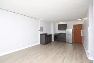 7333 N Ridge Blvd, Chicago, IL 60645 - Photo 8