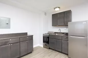 7333 N Ridge Blvd, Chicago, IL 60645 - Photo 4