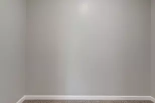 394 W 3rd St, Braidwood, IL 60408 - Photo 14