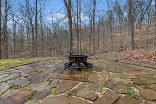 1825 Bald Knob Rd, Alto Pass, IL 62905 - Photo 10