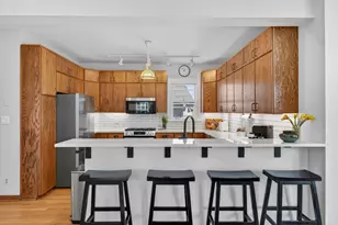 323 N Prospect Ave, Park Ridge, IL 60068 - Photo 14