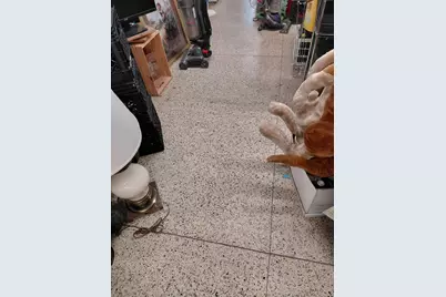 3811 W Chicago Avenue, Chicago, IL 60651 - Photo 4