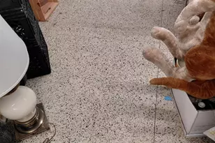 3811 W Chicago Ave, Chicago, IL 60651 - Photo 4