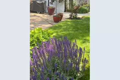 733 S Oak Park Avenue, Oak Park, IL 60304 - Photo 54