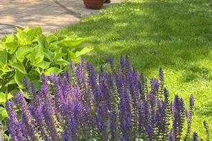 733 S Oak Park Ave, Oak Park, IL 60304 - Photo 54