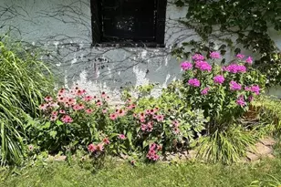 733 S Oak Park Ave, Oak Park, IL 60304 - Photo 52