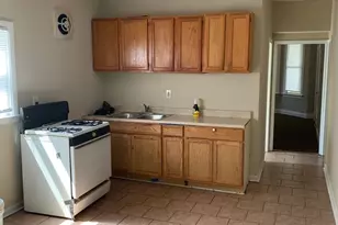 8523 S Muskegon Ave, Chicago, IL 60617 - Photo 8