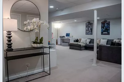 250 Tiger Street, Bolingbrook, IL 60490 - Photo 28