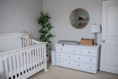 250 Tiger Street, Bolingbrook, IL 60490 - Photo 16