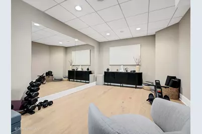 117 W North Street, Hinsdale, IL 60521 - Photo 30