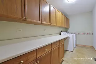 161 Wedgeport Ct, Romeoville, IL 60446 - Photo 14