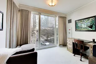 208 N Park Dr, Chicago, IL 60601 - Photo 16