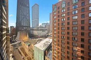 110 E Delaware Pl, Chicago, IL 60611 - Photo 14
