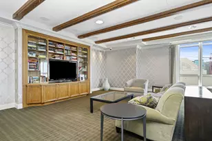 10 E Delaware Pl, Chicago, IL 60611 - Photo 48