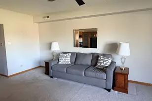 17828 Bernard Dr, Orland Park, IL 60467 - Photo 14