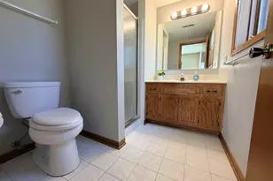 17828 Bernard Dr, Orland Park, IL 60467 - Photo 32