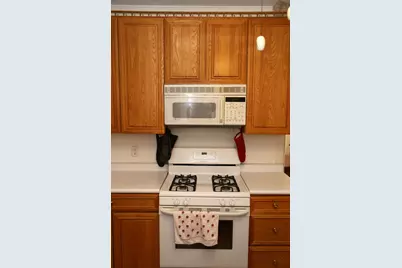 4644 N Kennicott Avenue, Chicago, IL 60630 - Photo 14