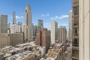 100 E Bellevue Pl, Chicago, IL 60611 - Photo 8