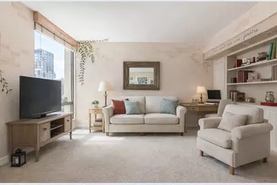 100 E Bellevue Place #23B, Chicago, IL 60611 - Photo 10