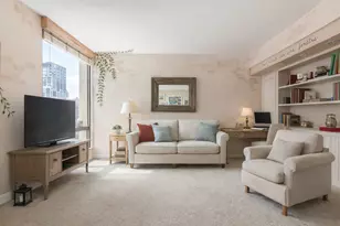 100 E Bellevue Pl, Chicago, IL 60611 - Photo 10