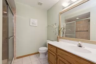 8966 Jeanie Ln, Frankfort, IL 60423 - Photo 14