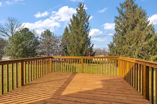 8966 Jeanie Ln, Frankfort, IL 60423 - Photo 28