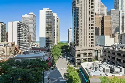 1030 N State Street #2GH, Chicago, IL 60610 - Photo 28