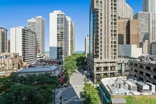 1030 N State St, Chicago, IL 60610 - Photo 28