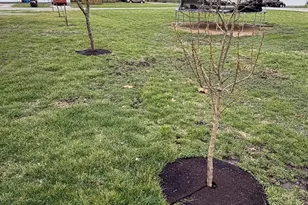 609 E Clay St, Clifton, IL 61727 - Photo 8