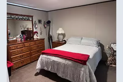 344 Seba Street, Hurst, IL 62949 - Photo 10