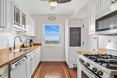 4300 N Marine Drive #1601, Chicago, IL 60613 - Photo 14