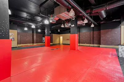 1720 W North Avenue, Chicago, IL 60622 - Photo 22