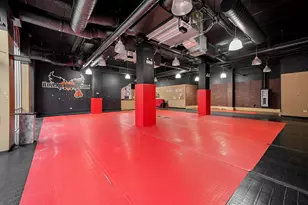 1720 W North Ave, Chicago, IL 60622 - Photo 18