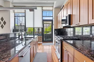 70 E 18th St, Chicago, IL 60616 - Photo 6