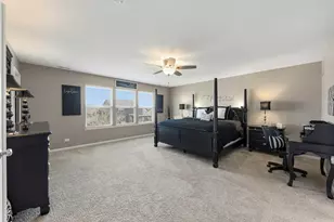 2328 Thunder Gulch Rd, Montgomery, IL 60538 - Photo 16