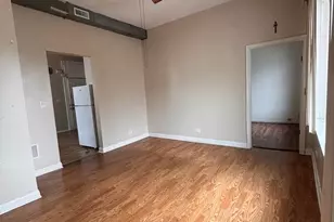 2701 W 18th St, Chicago, IL 60608 - Photo 10