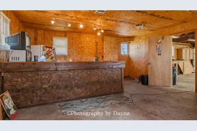 209 E Lafayette Street, Ashkum, IL 60911 - Photo 26
