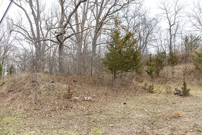 Lot 19 & Lot 18 Williams Road, Lake Marian, IL 60110 - Photo 2