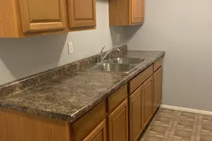 407 E Seminole Street E, Dwight, IL 60420 - Photo 6