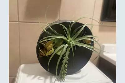 5133 W Wrightwood Avenue #1, Chicago, IL 60639 - Photo 8