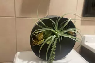 5133 W Wrightwood Ave, Chicago, IL 60639 - Photo 8